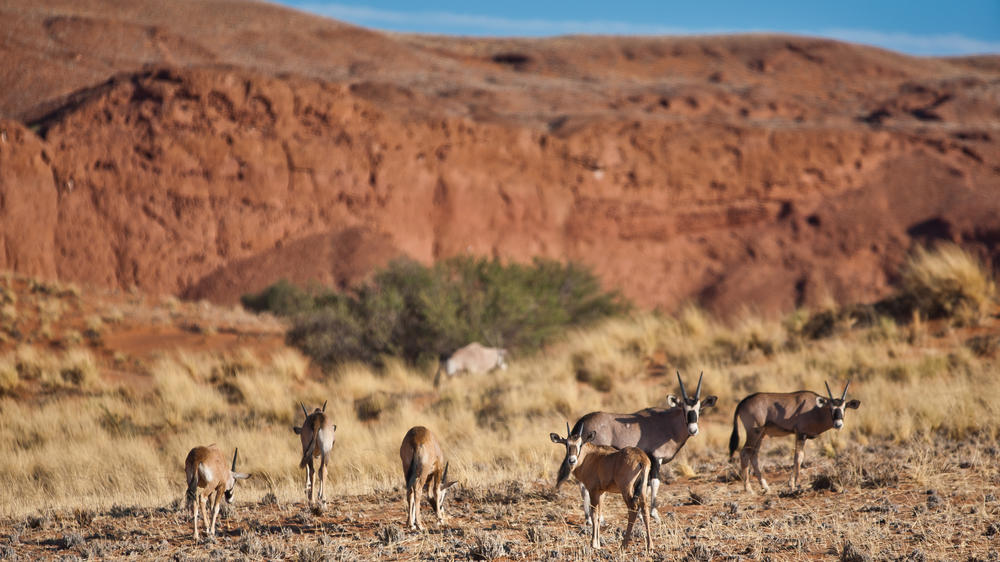 Namib Desert Lodge Gondwana Collection Namibia