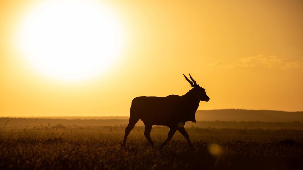 Mara Expedition Camp