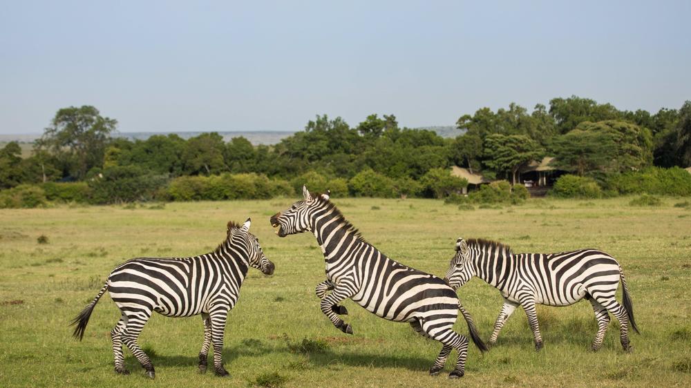 Mara Expedition Camp