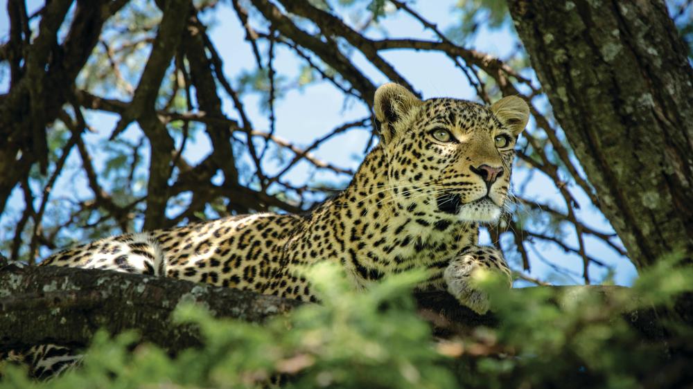 Mara Expedition Camp