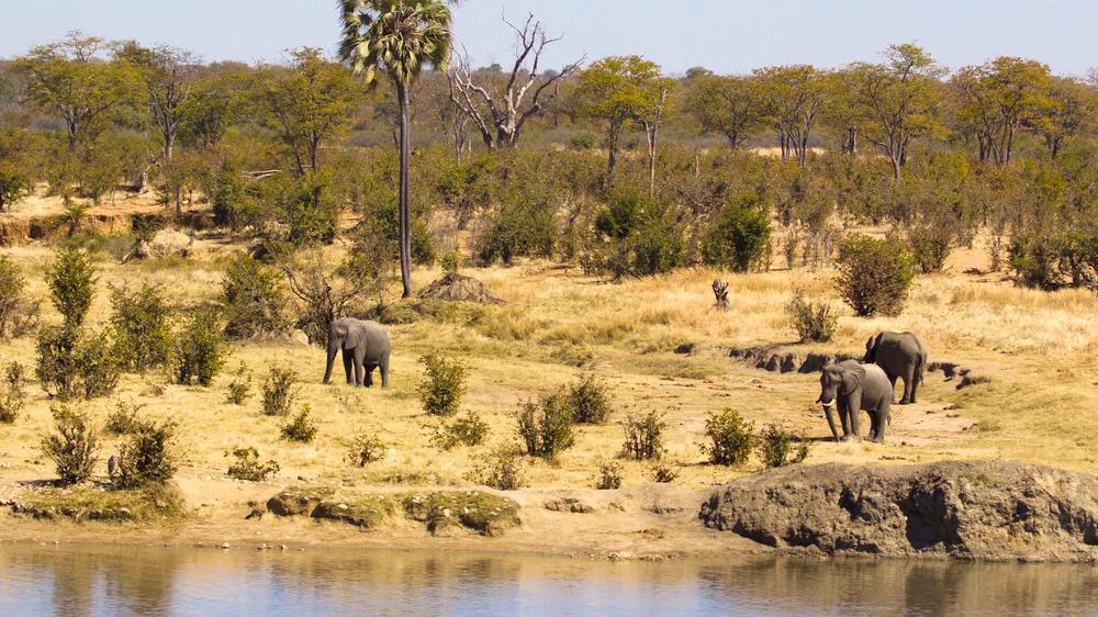 Matetsi Private Game Reserve