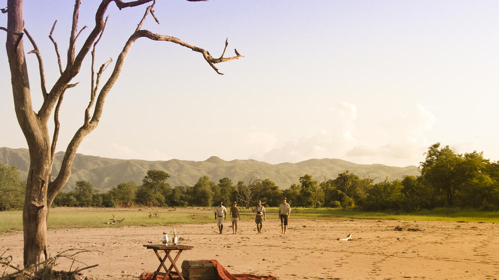 Changa Safari Camp
