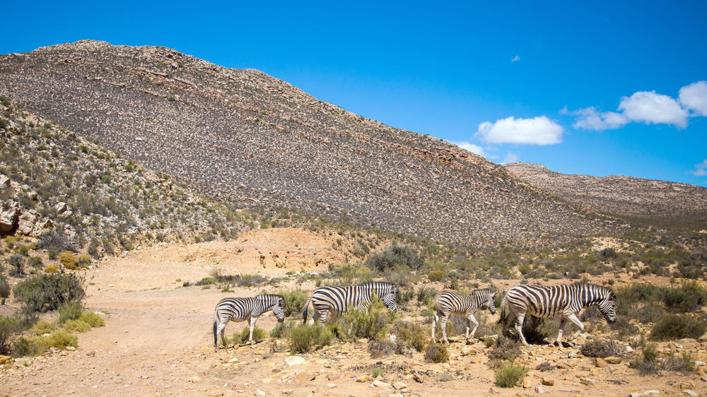 Deception Valley Private Reserve