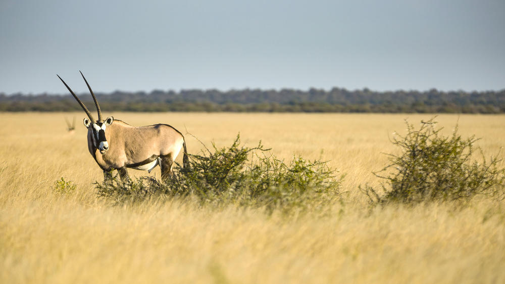 Deception Valley Private Reserve
