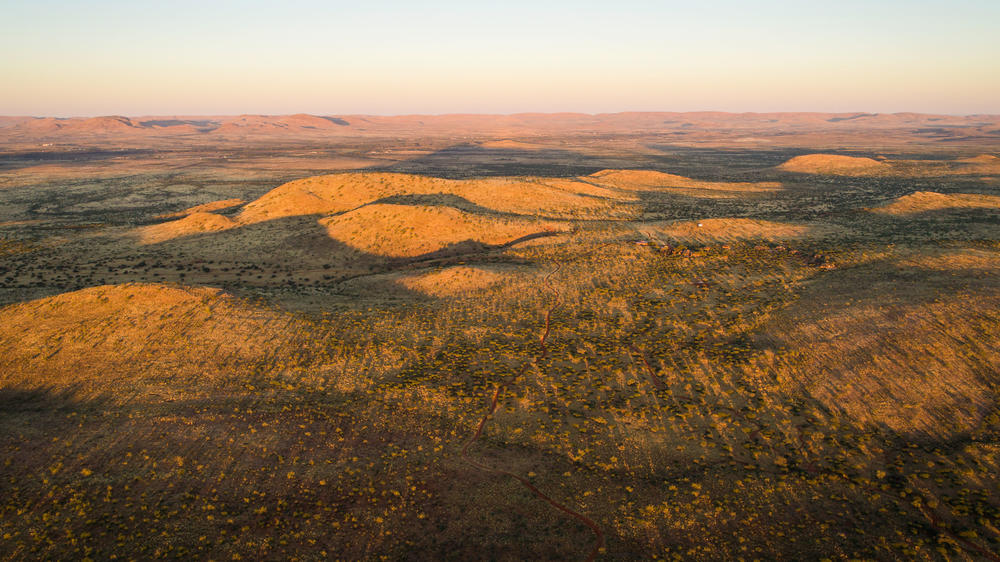 Deception Valley Private Reserve