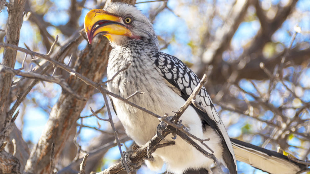 Deception Valley Private Reserve