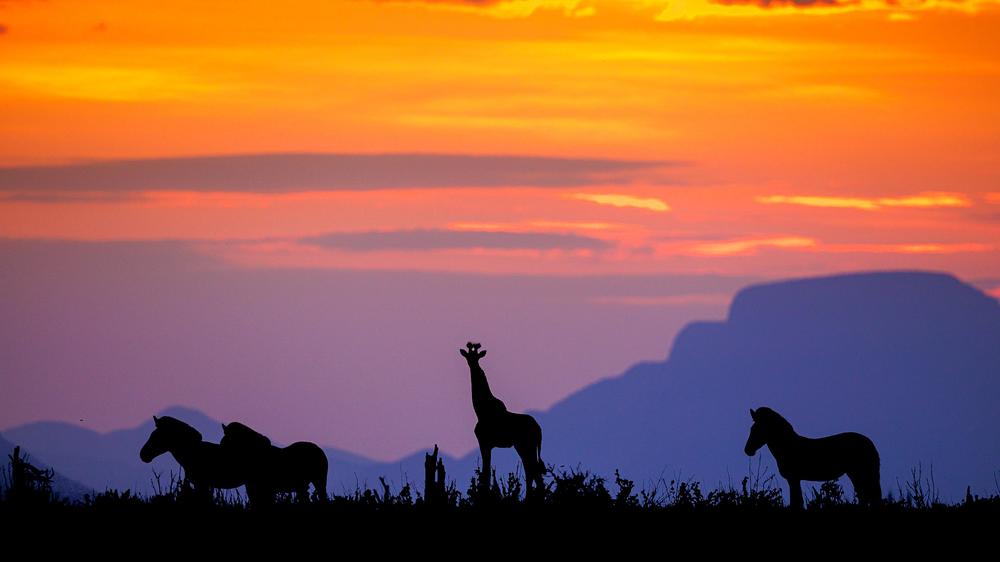 Tanda Tula Safari Camp