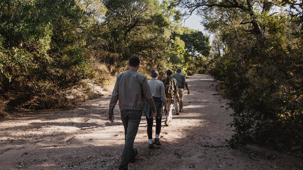 Tanda Tula Safari Camp