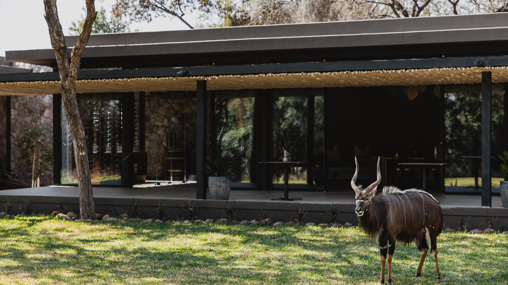 Tanda Tula Safari Camp