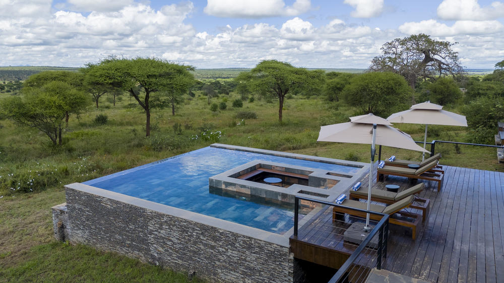 Tarangire Elephant Springs