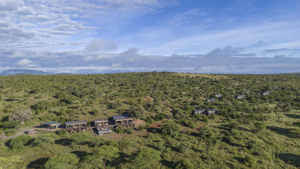 Tarangire Elephant Springs