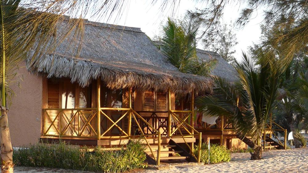 Palissandre Cote Ouest 