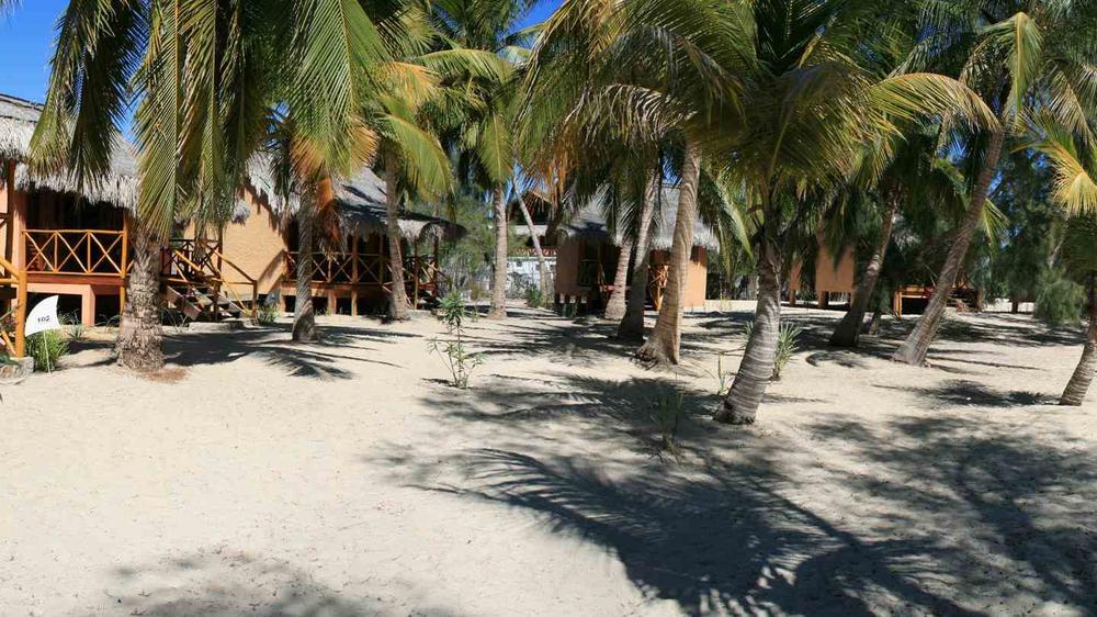 Palissandre Cote Ouest 