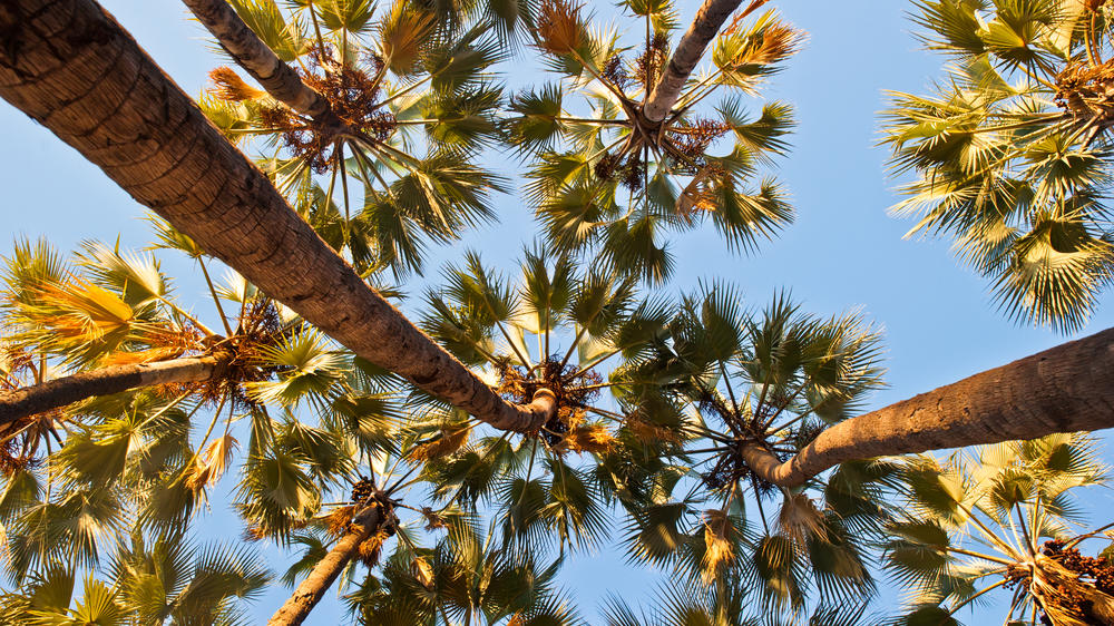 Omarunga Epupa-Falls Camp Gondwana Collection Namibia
