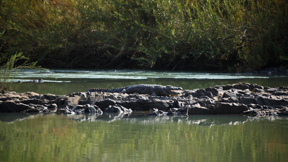 Omarunga Epupa-Falls Camp Gondwana Collection Namibia