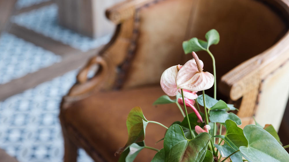 Swakopmund Sands Hotel