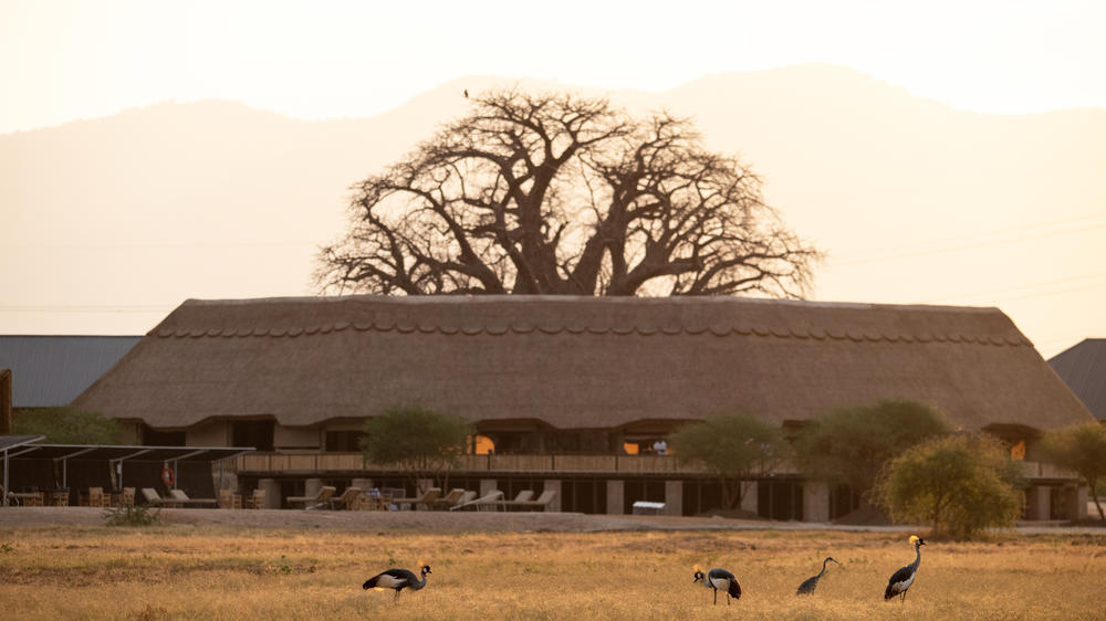 Lake Burunge Baobab Tented Lodge