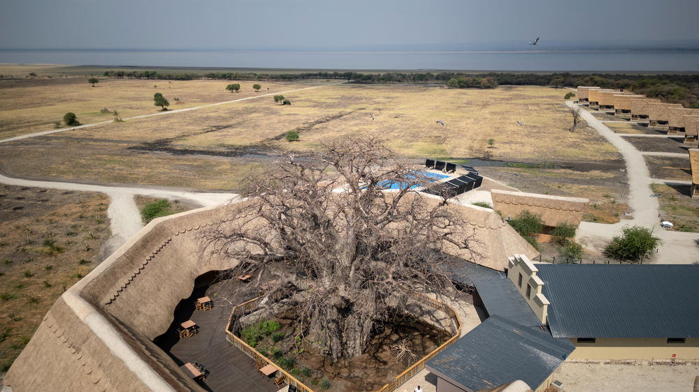 Lake Burunge Baobab Tented Lodge