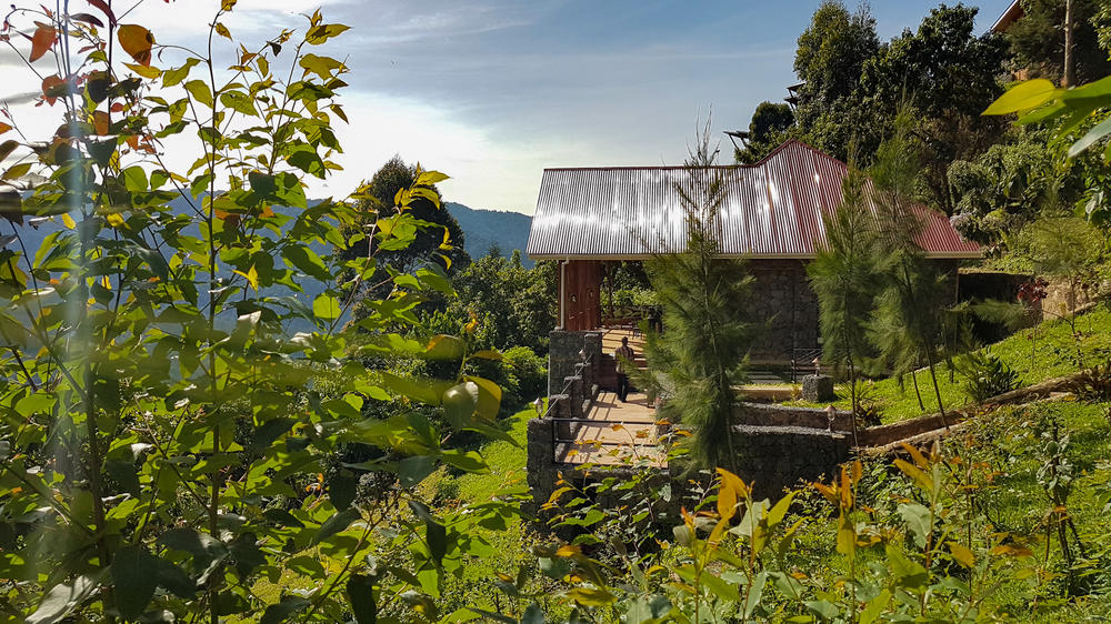 Nkuringo Gorilla Lodge