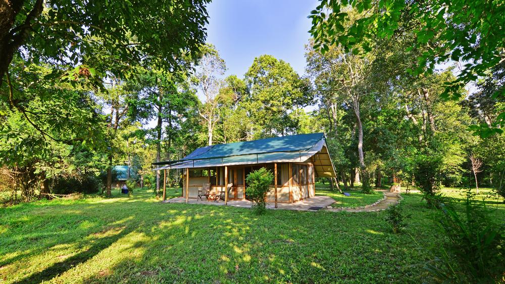 Ishasha Wilderness Camp