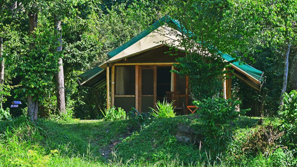 Ishasha Wilderness Camp