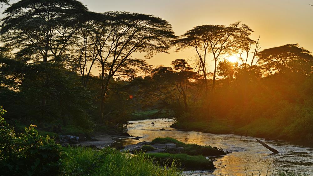 Ishasha Wilderness Camp