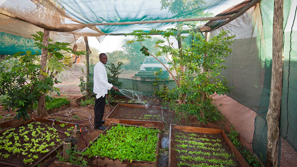 Laikipia Wilderness Main Camp