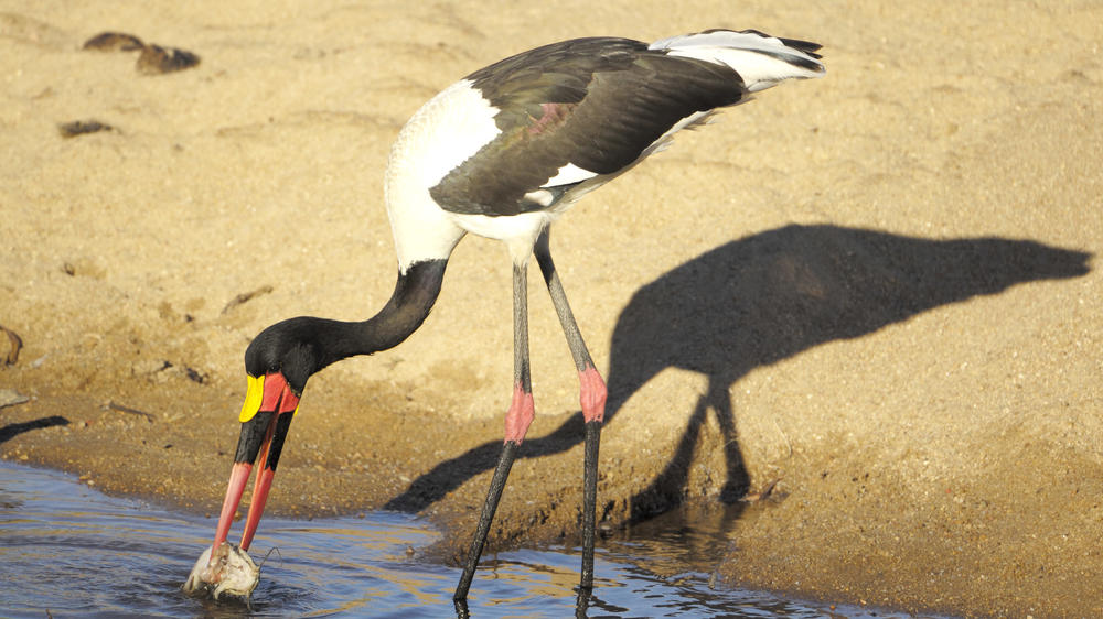 Kruger Private Reserves