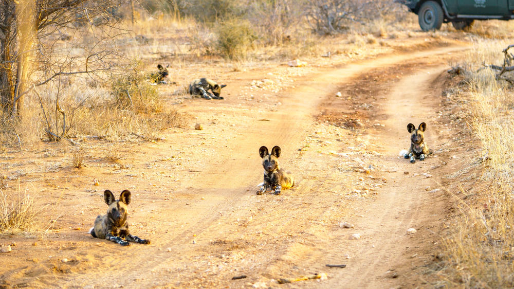 Kruger Private Reserves