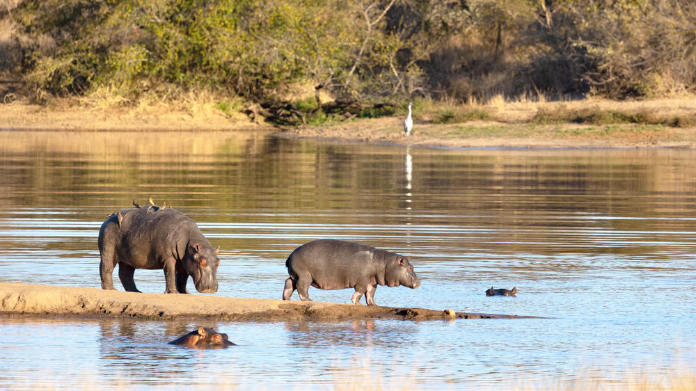 Kruger Private Reserves