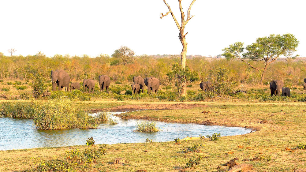 Kruger Private Reserves