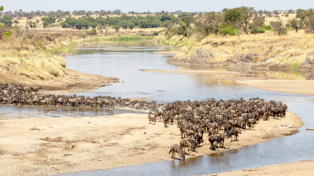 Northern Serengeti