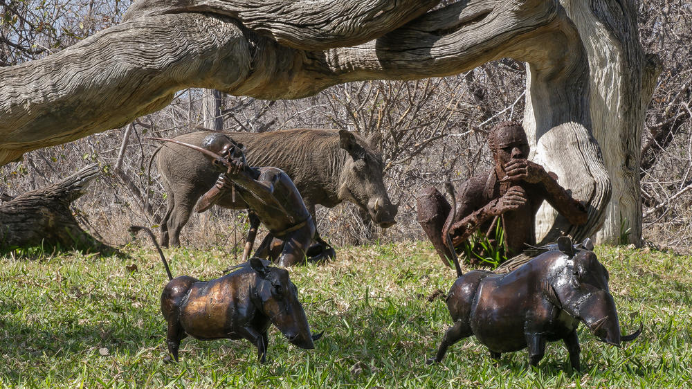 Makumu Private Game Lodge