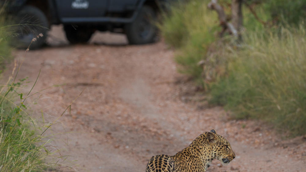 Makumu Private Game Lodge