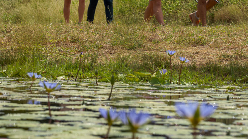 Makumu Private Game Lodge