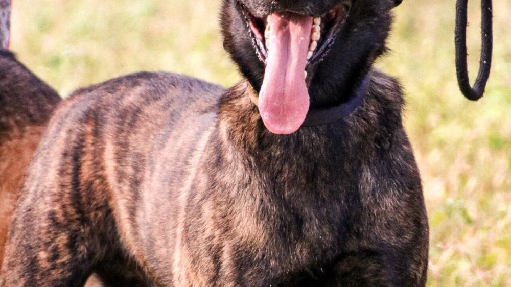 Makumu Private Game Lodge