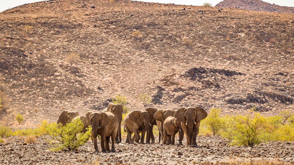 Twyfelfontein
