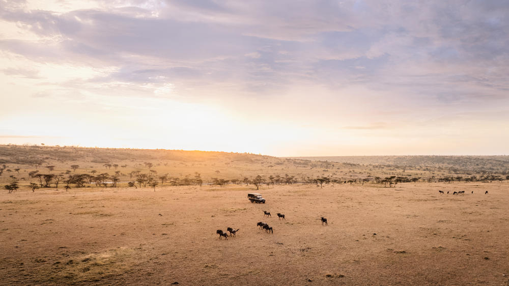Hemingways River Camp Mara