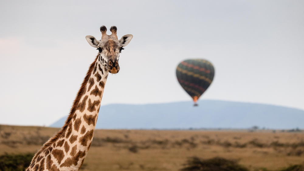 Hemingways River Camp Mara