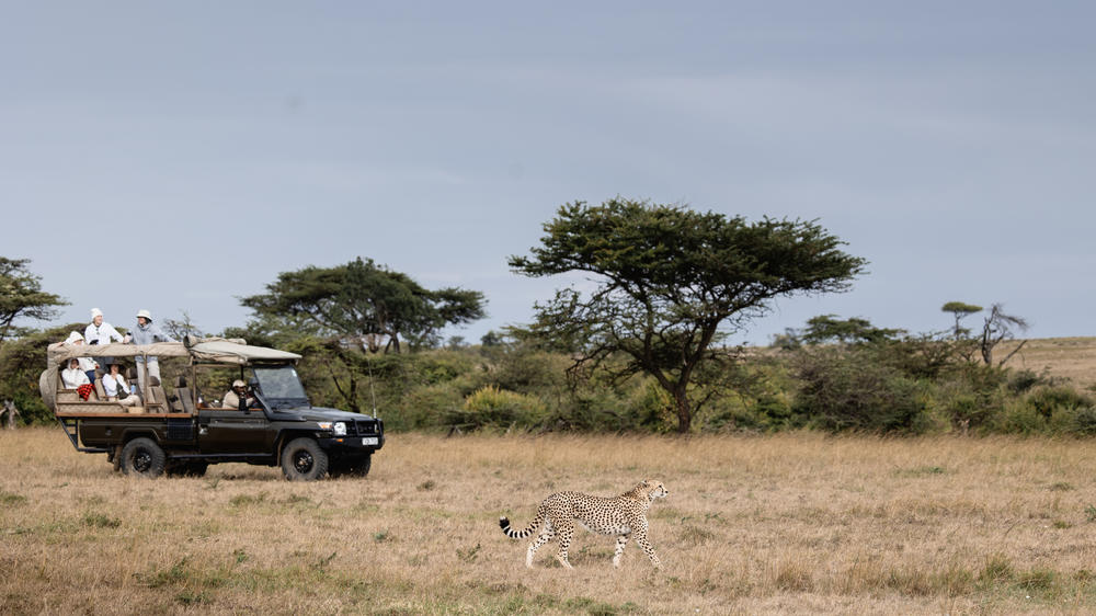 Hemingways River Camp Mara