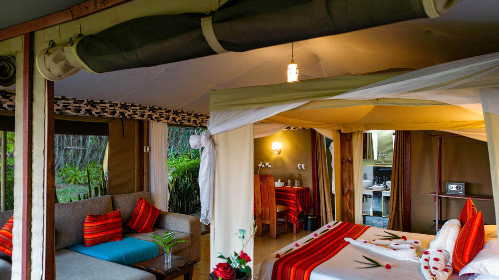Zebra Plains Mara Camp