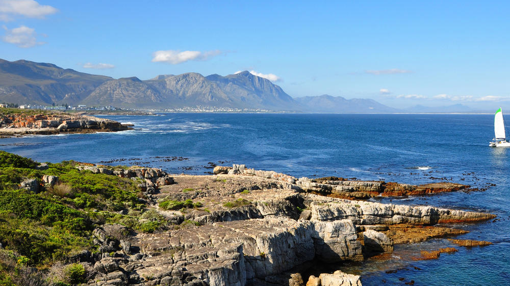 Hermanus