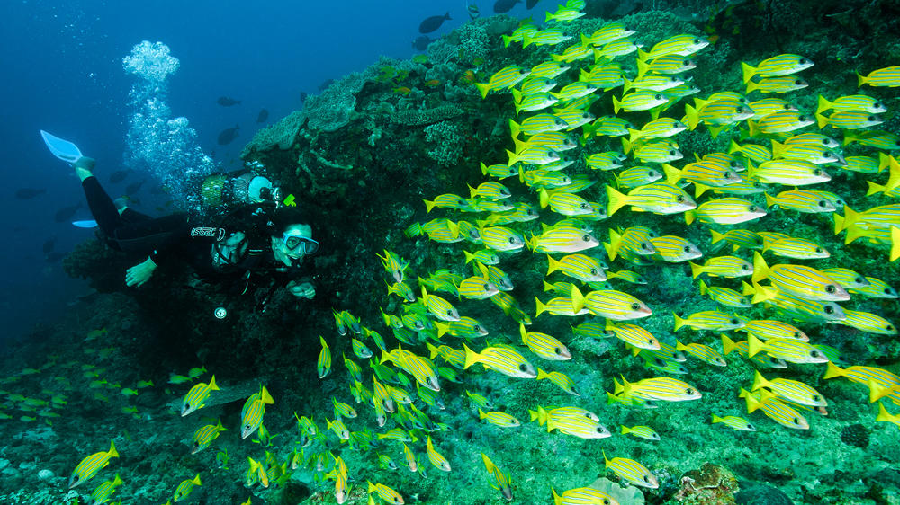 Machangulo Beach Lodge