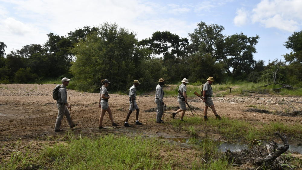 Motswari African Retreat & Walking Safaris