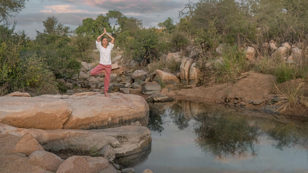 Motswari African Retreat & Walking Safaris