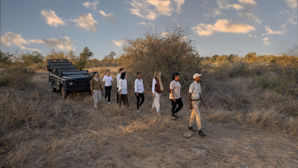 Motswari African Retreat & Walking Safaris