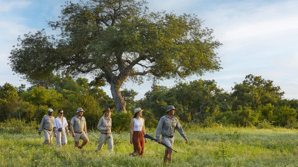 Motswari African Retreat & Walking Safaris