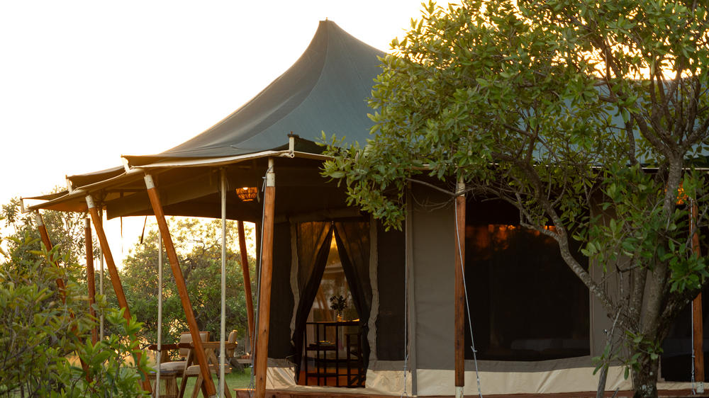 Moyo Tented Camp Mara