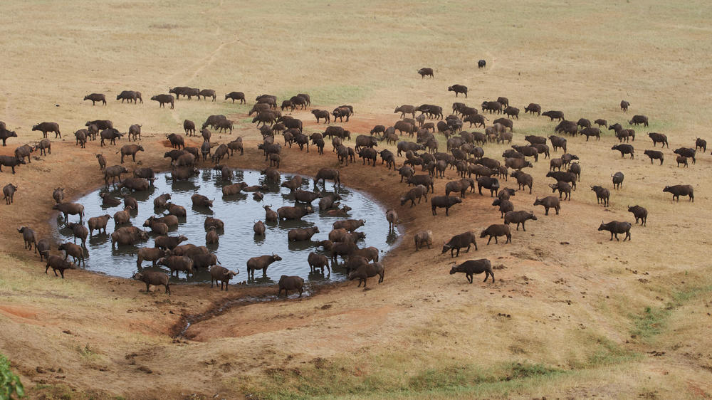 Olderkesi Conservancy