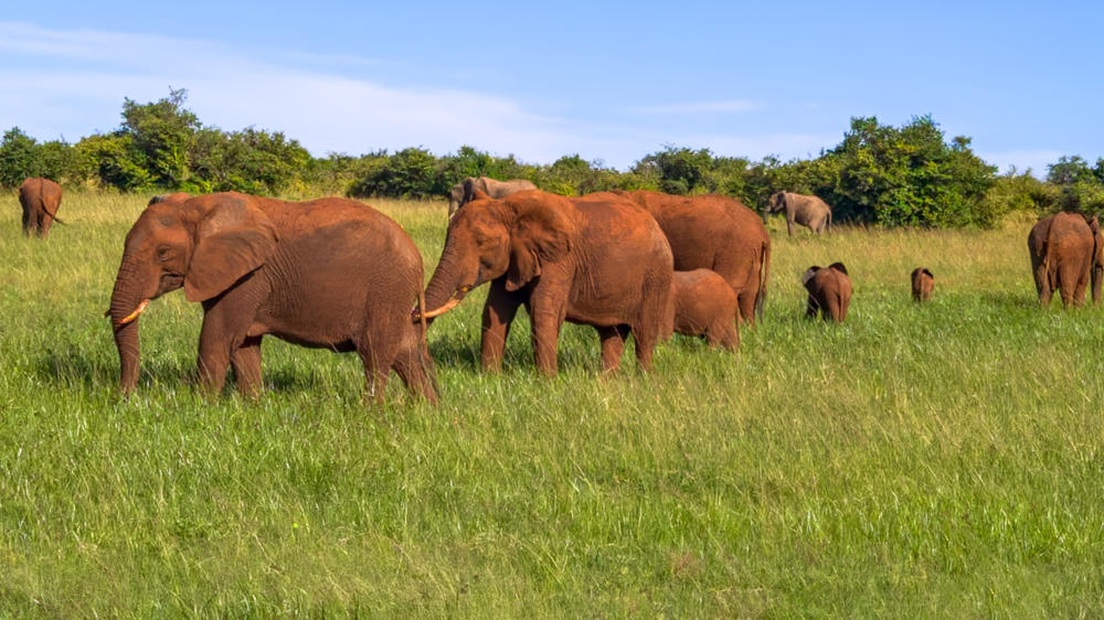 Olderkesi Conservancy